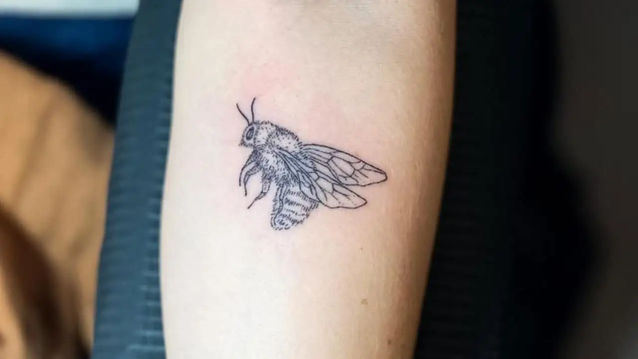 Art Drawing Boho Tattoo ideas | minimalist | tiny tattoo | Black and white  | Bee | Queen B | Bee tattoo, Black and white bee, Tiny tattoos