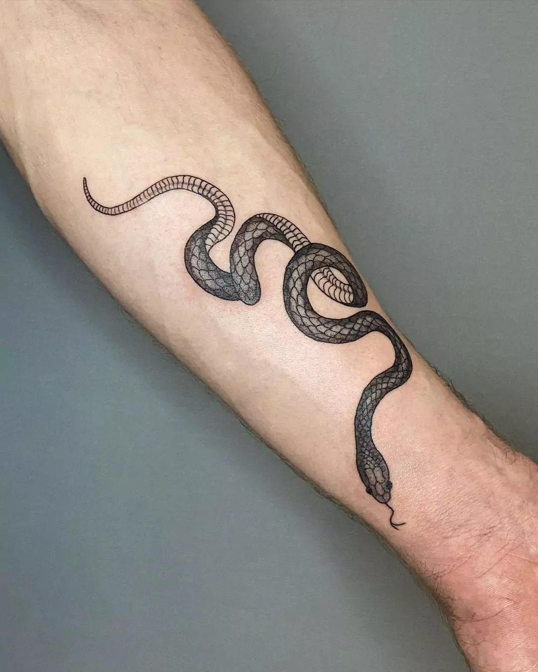 Big Serpent Hand Tattoo