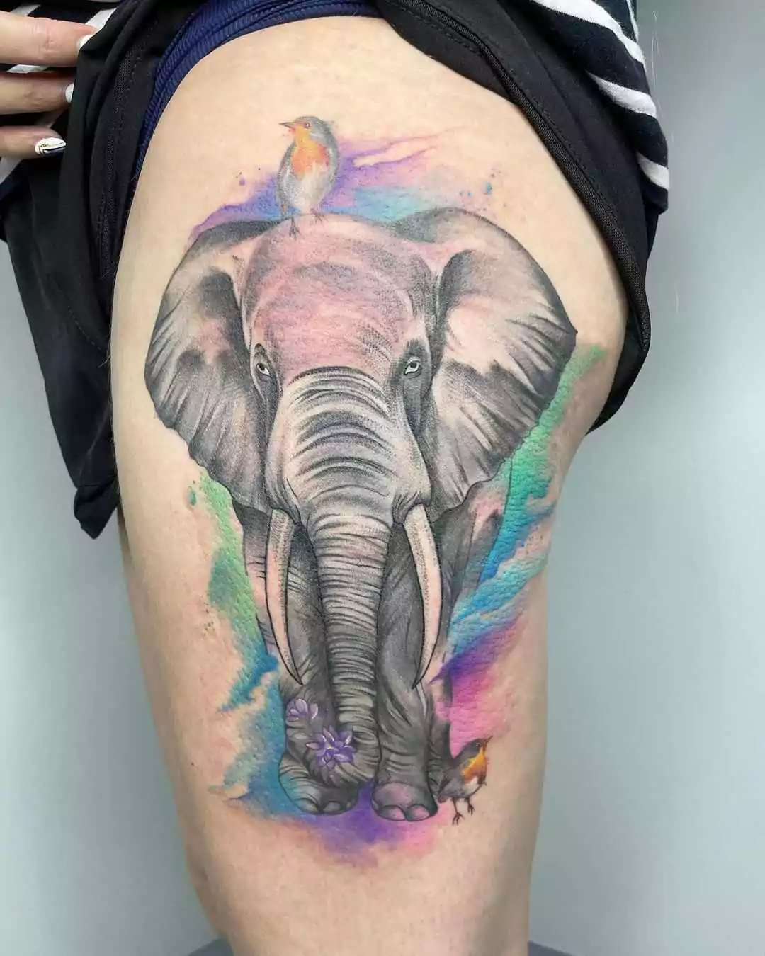 Big colorful elephant tattoo on the thigh