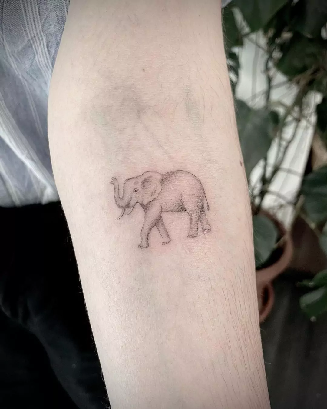 88 Awesome Elephant Tattoos With Meaning In 2024