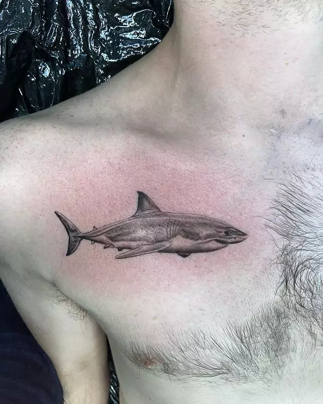 Collarbone shark tattoo