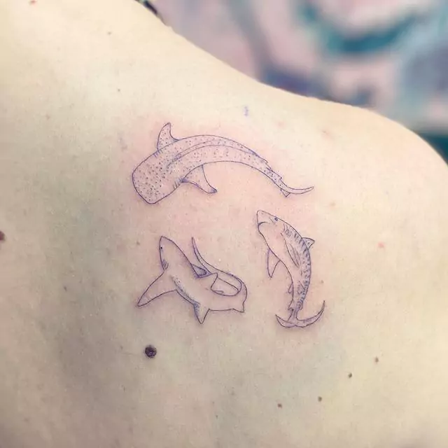 three colorful shoulder shark tattoos