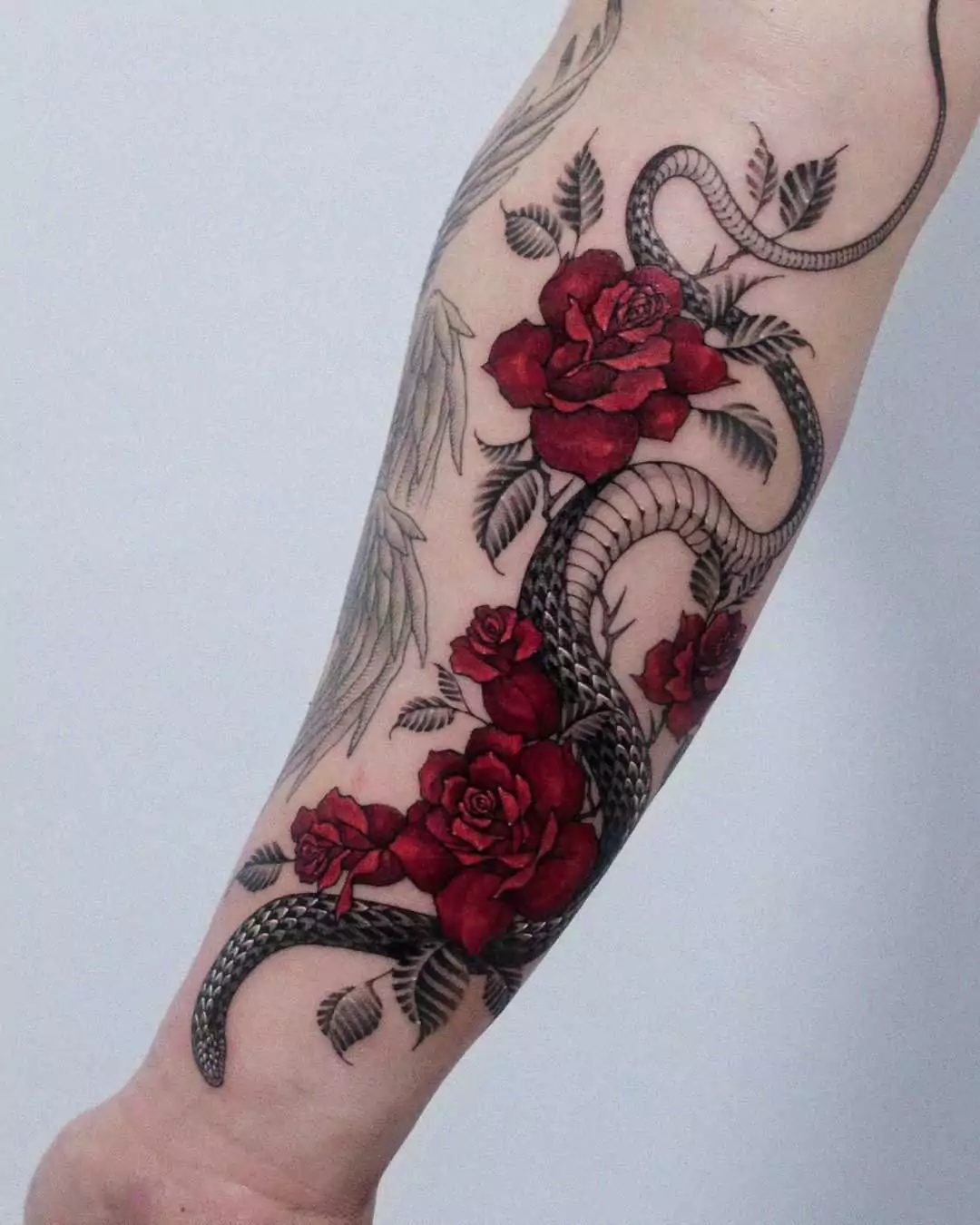 dark snake and red rose tattoo