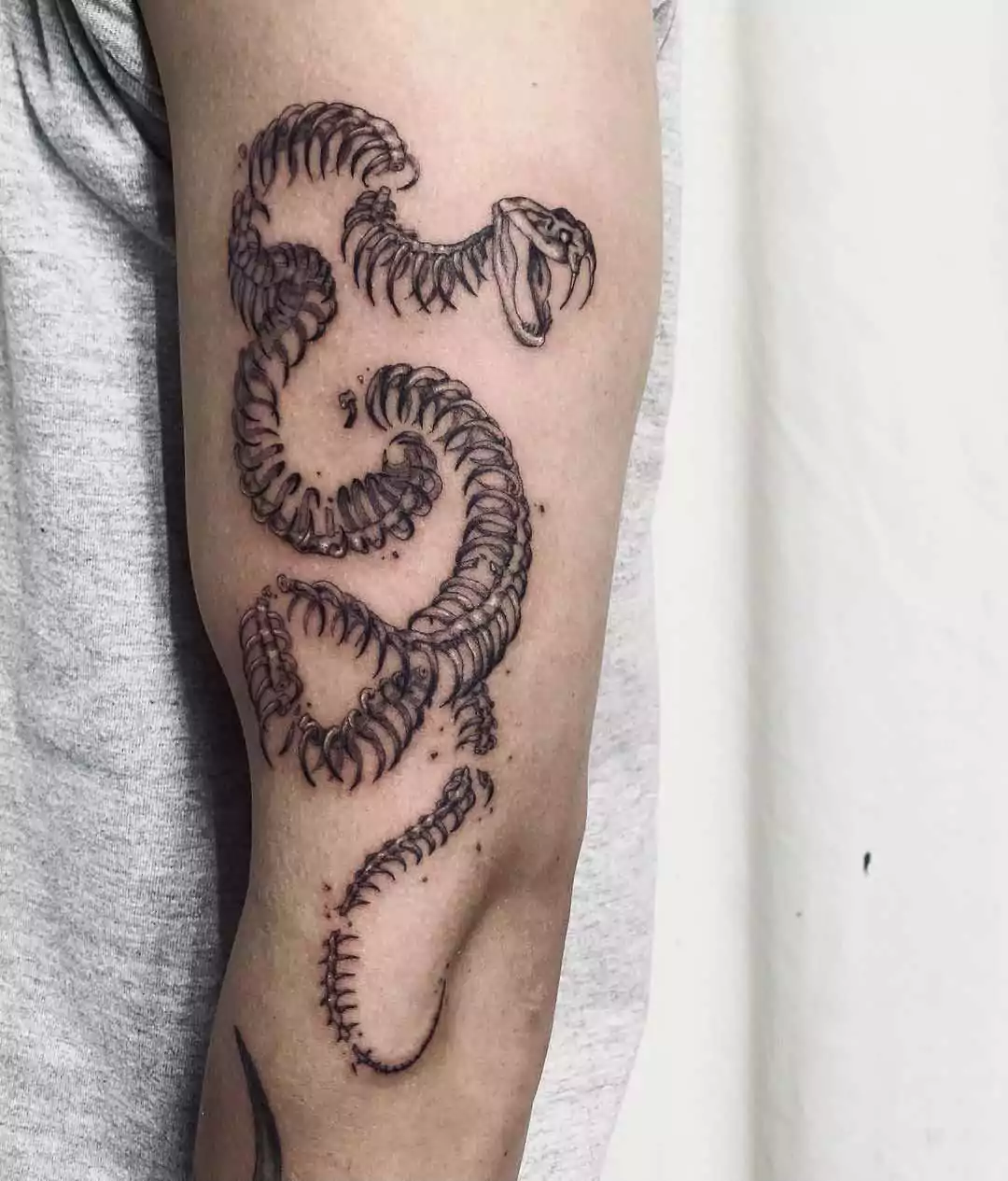 snake tattoo on the arm