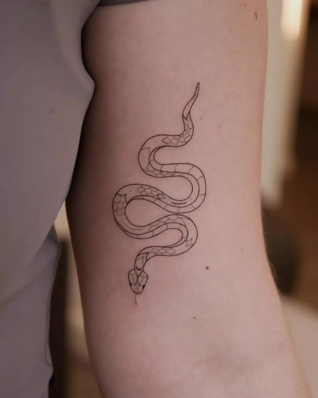 simple line art snake tattoo