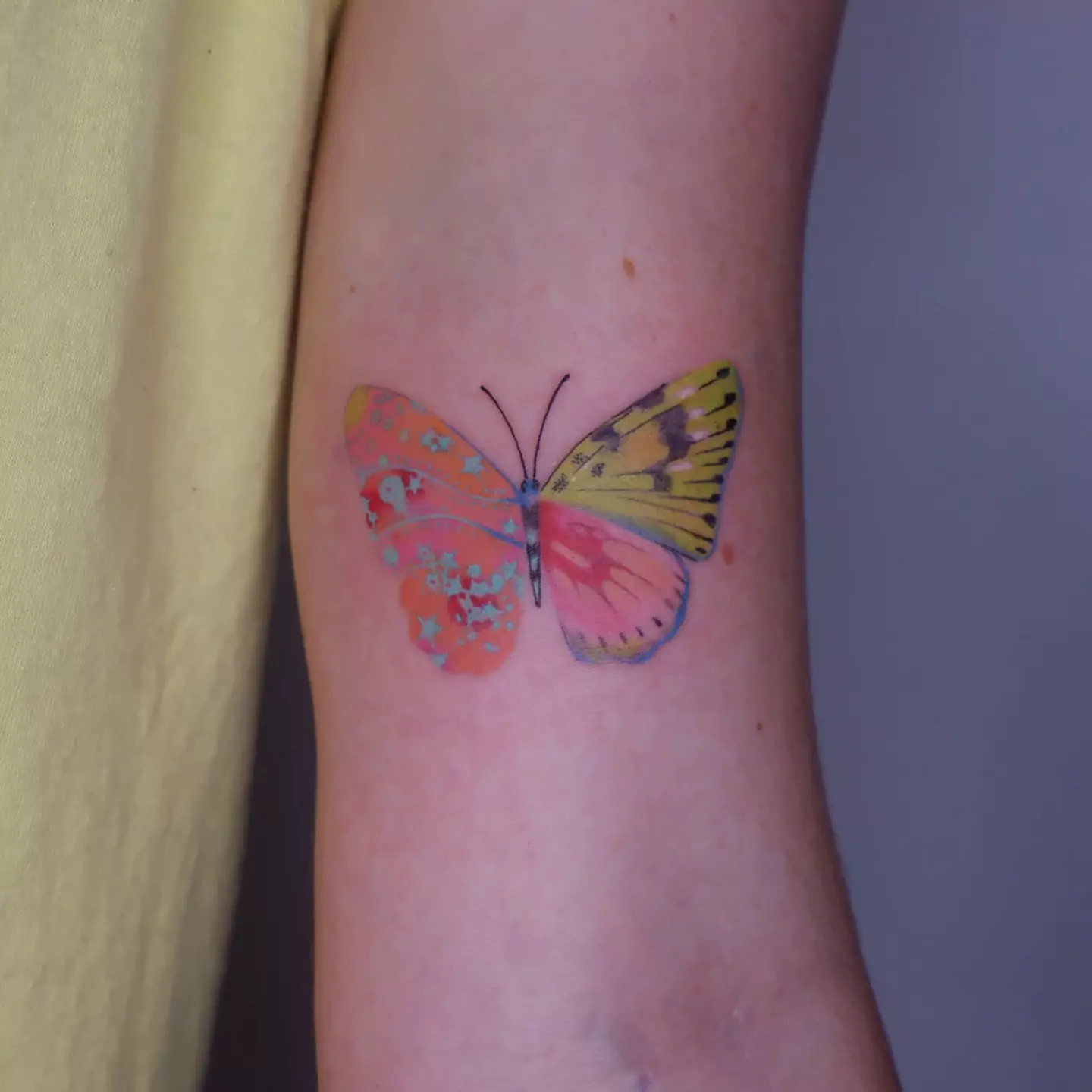 colorful butterfly hand tattoo