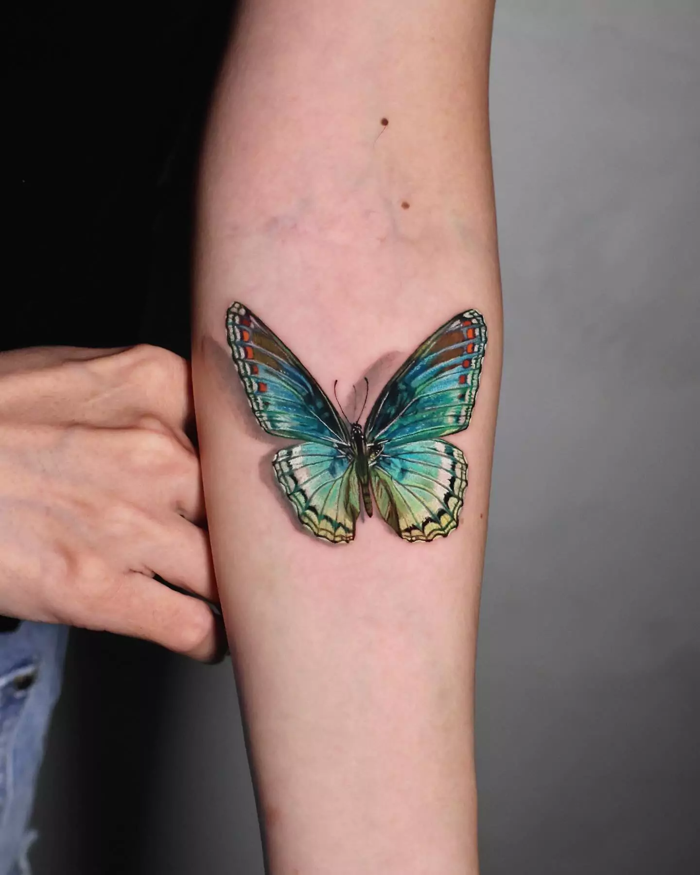 mircorealism colorful butterfly tattoo