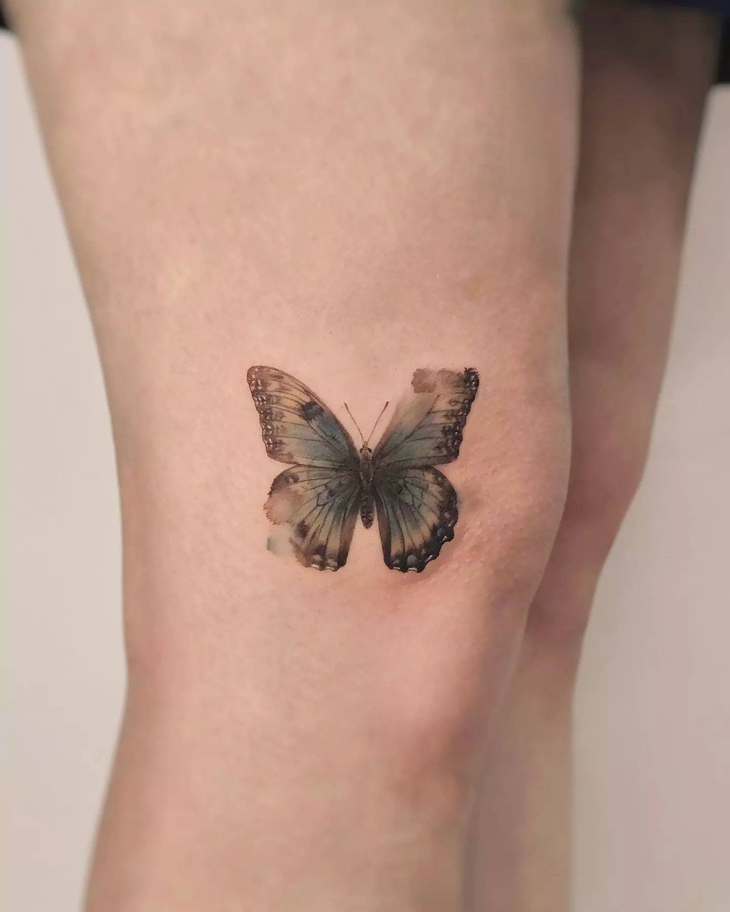 realistic butterfly tattoo on the leg